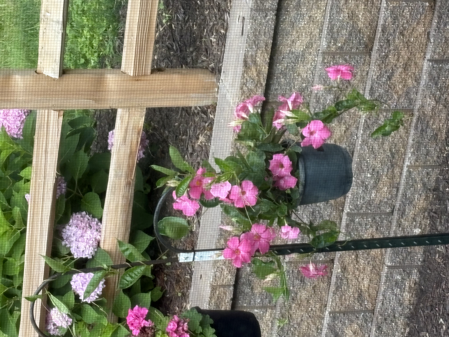 West Branch Methodist Church