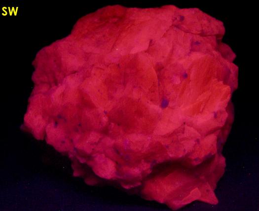 fluorescent SALMON CALCITE, Passaic Pit (Passaic Mine; Marshall Mine), Sterling Hill, Ogdensburg, Franklin Mining District, Sussex County, New Jersey, USA
