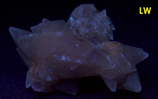 CALCITE crystals, fluorescent - Pugh Quarry (France Stone Co. Custar quarry), Weston (near Custar), Wood County, Ohio, USA, ex Paul and Betty Kelly, collected ~1960