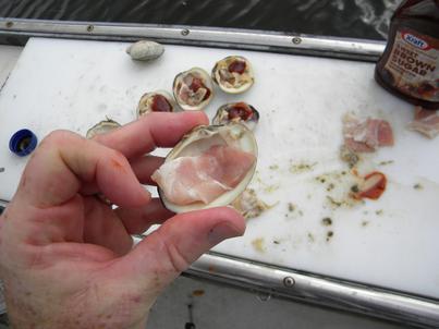 How to make Clams on the barbecue. www.DIYeasycrafts.com