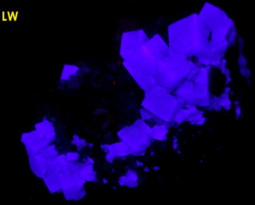 fluorescent green FLUORITE, QUARTZ, GALENA - Rogerley Mine, Rogerley Quarry, Stanhope, Frosterley, Weardale, North Pennines, County Durham, England, United Kingdom