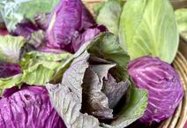 organic cabbage from Natural Environments at the farmers market