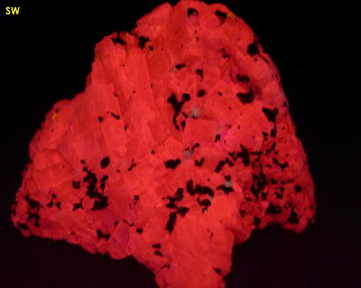 fluorescent WOLLASTONITE, BARYTE, CALCITE, WILLEMITE, DIOPSIDE, ANRDADITE, Franklin Mine, Franklin, Franklin Mining District, Sussex County, New Jersey, USA