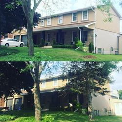 B&A Pine Tree Removal, Stoney Creek Tree Services