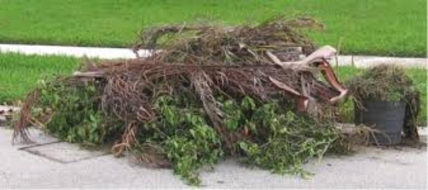 YARD WASTE REMOVAL SERVICES