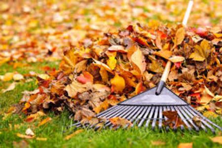 Leaf Removal Leaf Cleanup Yard Debris Removal Fall Leaf Removal Service and Cost in Lincoln NE | LNK Junk Removal