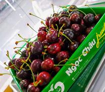 tặng giỏ hoa quả nào cho ngày 20/10