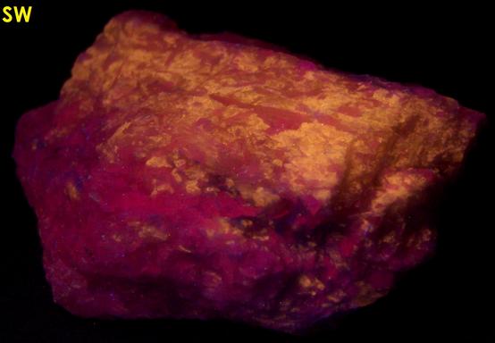 fluorescing SW LW CLINO-SUENOITE, TREMOLITE - International Talc Company Mine No. 8 (Reynolds Mine), Talcville, St.Laurence County, New York, USA