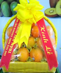 Giỏ hoa quả nhập khẩu đẹp Ngọc Châu fruits