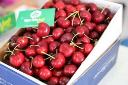 trái cherry tại Hà Nội