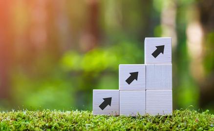 Stacked wooden cubes with a green forest background