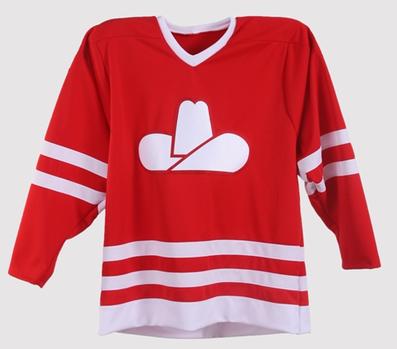 Retro Hockey Jersey Number/Letter kits - $39.99 : Propatchesusa