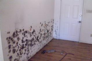 Fredericksburg_Mold_Remediation