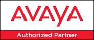 Avaya Authorized Business Partner Logo