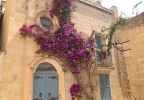 malta register company