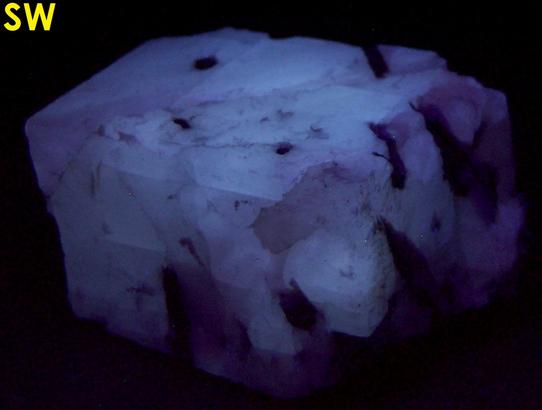fluorescing CALCITE with LAUMONTITE - Churchville Quarry (Davis Quarry Company Inc.), Churchville, Hardford County, Maryland, USA