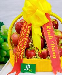 Giỏ hoa quả nhập khẩu đẹp Ngọc Châu fruits