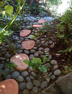 Photo by Josette Johnson Placerville Petals