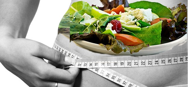 Distribution of Calories Recommended by the USDA