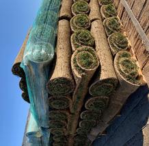 Rock, Sod - Affordable Decorative Rock - Hesperia, California