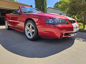 1996 Ford SVT Cobra Convertible