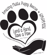 Animal Rescue, Dog Adoptions - Amazing Mutts Puppy Rescue - Cream Ridge, Nj