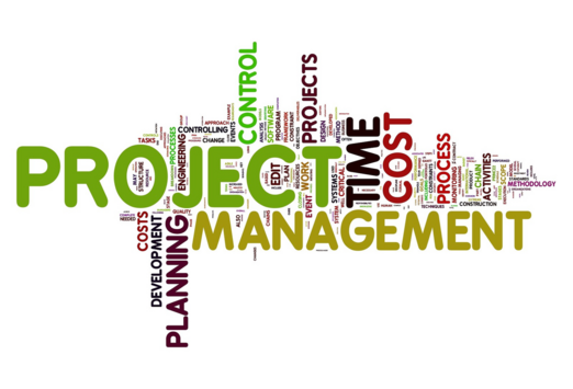IT Planning Project Management