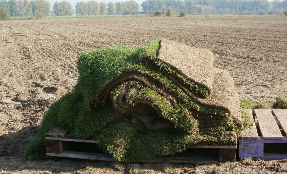 Sod sitting on a pallet in a field