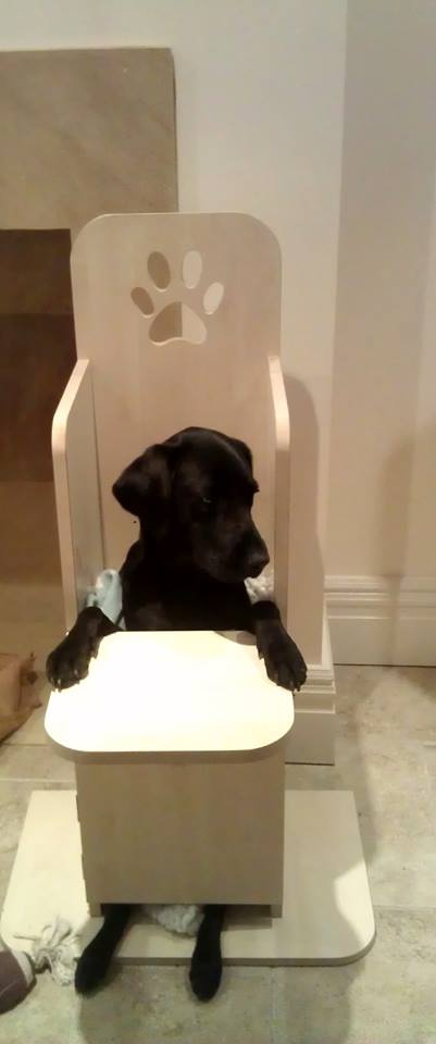 Used dog bailey chair hotsell for sale