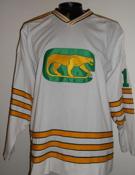 WHA Chicago Cougars vintage hockey jersey