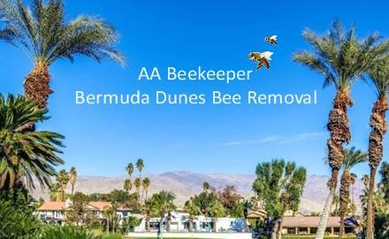 Bermuda Dunes bee removal