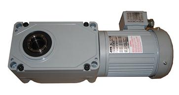 Gear Motor