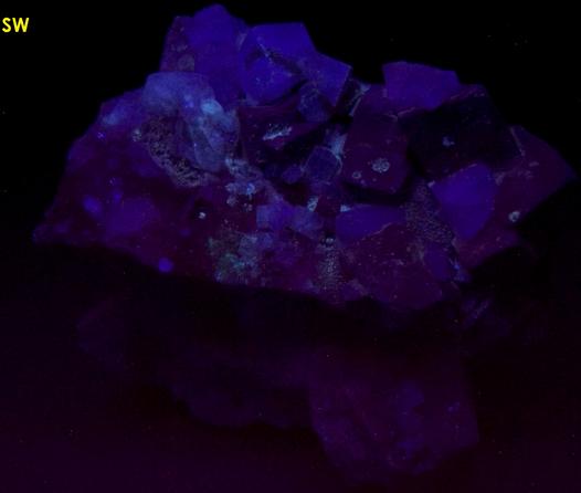 fluorescent FLUORITE, GALENA, QUARTZ, ANGLESITE - Desert Rose Mine (Downey Stope; Mountain Canyon Mine; Ace High Mine), Garden Spring Canyon, Bingham, Hansonburg District, Socorro County, New Mexico, USA