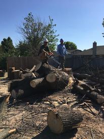 tree trimming okc