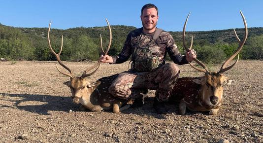 Exotic Hunts
