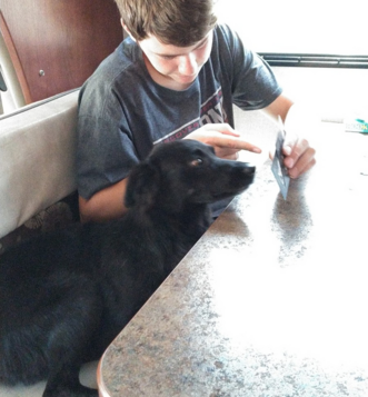 Dogs that are good with children