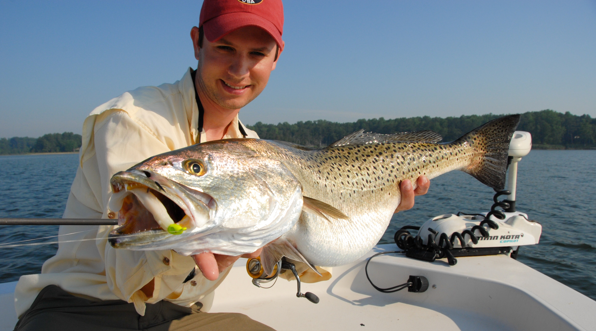 Chesapeake Bay Fishing Forecast: Spring 2019  Virginia Saltwater Fly  Fishing & Light Tackle Guide