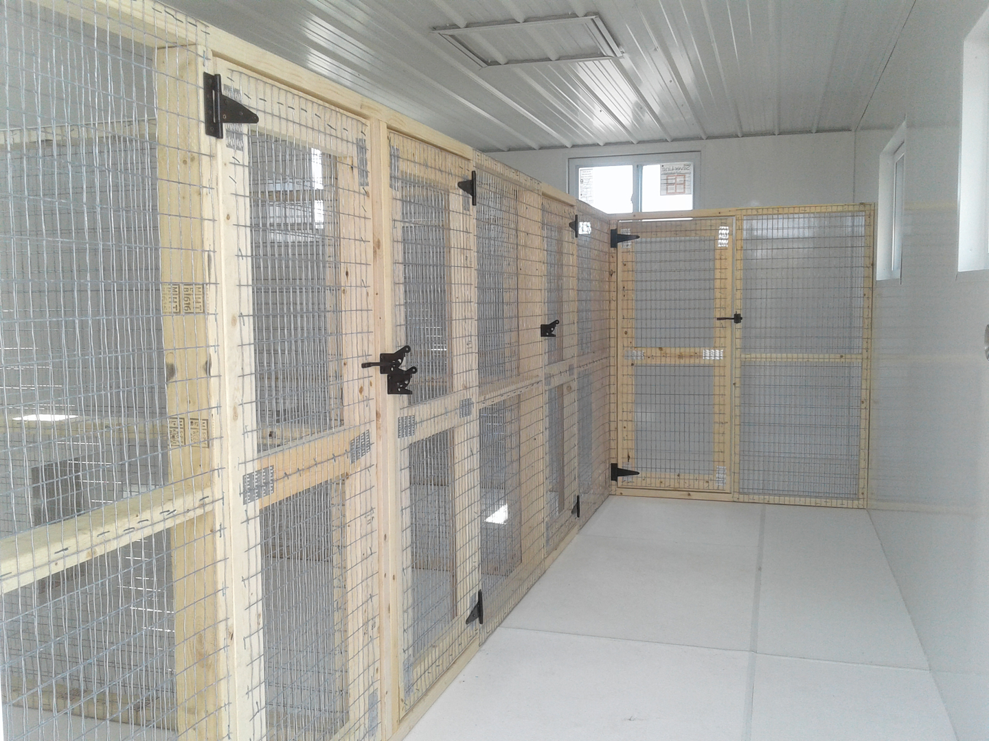 Portable building 2024 dog kennel