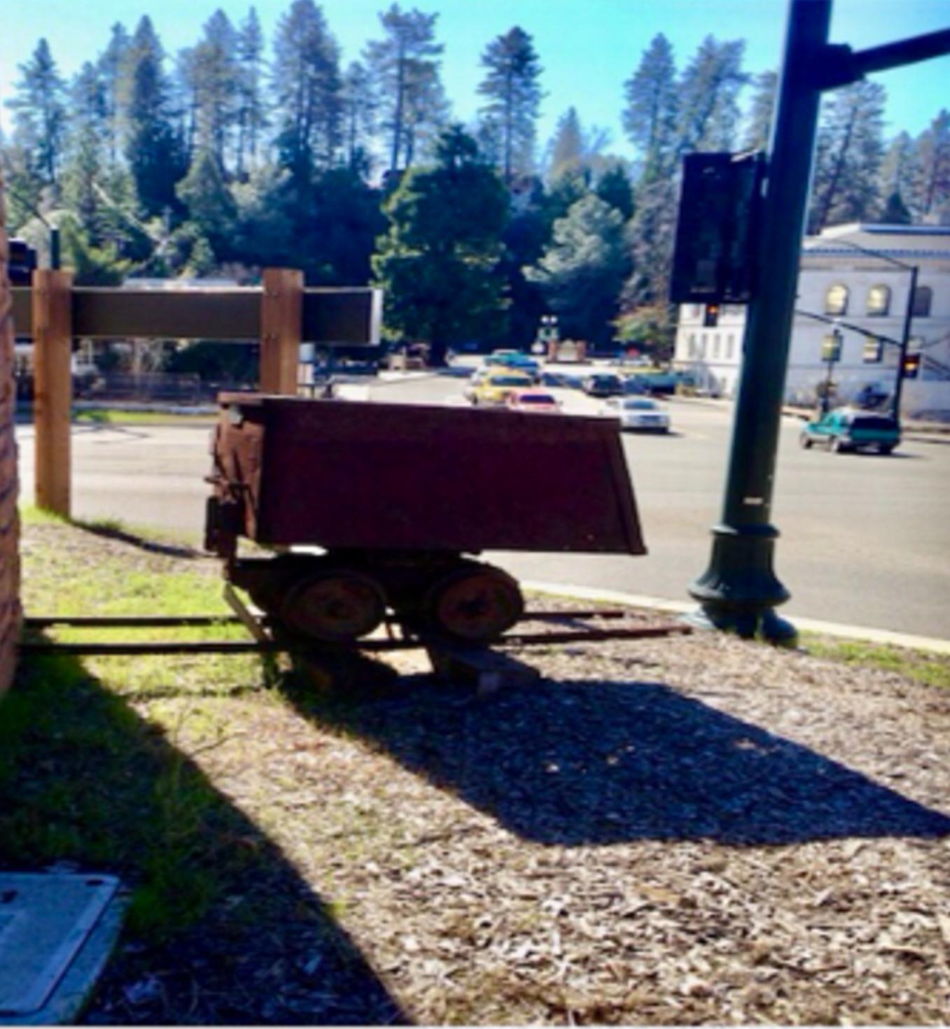 Smokey Woodlands at Placerville California