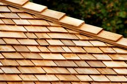 Strategies for Cedar Roof Care in Silver Spring MD
