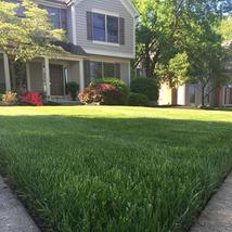 Ryan's Landscaping, Dublin Ohio, Powell Ohio, Lawn Care, Patio, Firepit, Fertilization, Irrigation, Landscape, Annual Color, Snow Removal, Lawn mowing, Spring Clean Up, Mulching, Annual Color, Perennials, OCNT, Landscape Lighting, Drainage