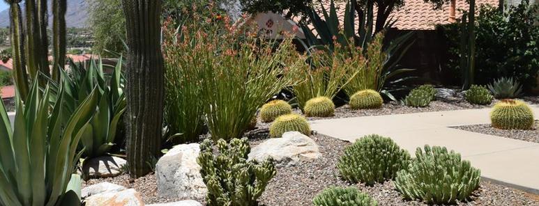 SUMMERLIN LANDSCAPING SERVICE Please Contact Us for a Quote