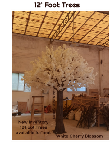 #whitecherryblossomtreesforrent #whitetrees #treerental