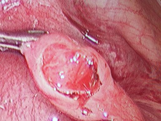 best gynecologist karwar