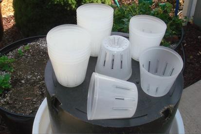 Clear Plastic Orchid Pots