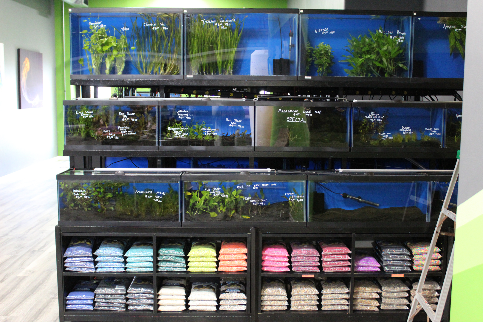 Aquaria fish clearance store