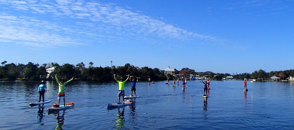 Paddle Boarding Tampa Clearwater Palm Harbor Oldsmar Tarpon Springs Paddle Board Near Me