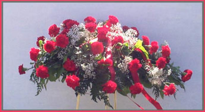 Casket Cover of Red Carnations & Baby's Breath