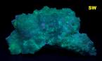 Celestine & fluorescent Calcite crystals Mojina Mine, Chihuahua, Mexico