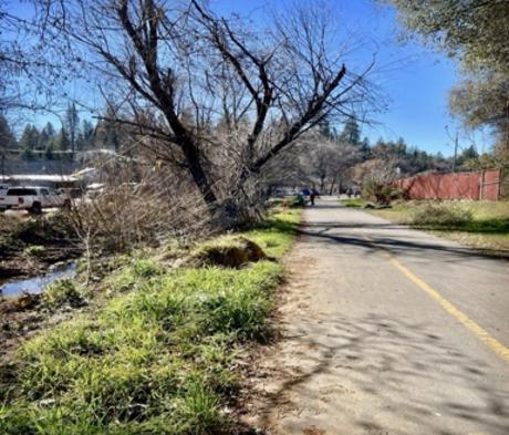 Randolph Creek Project Designed and Cared for by Jennifer Tucker, Photo by Josette Johnson